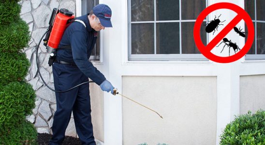 Tirebolu Böcek ve Haşere İlaçlama böcek ilaçlama ve haşere kontrolü — ilaclama-tr.com
